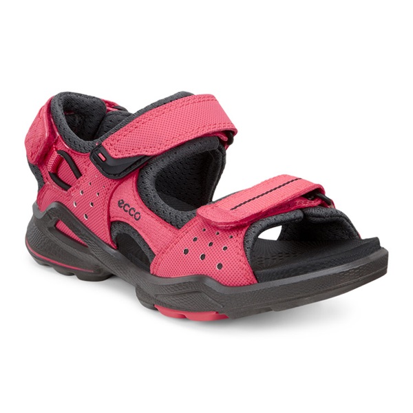 купить ECCO BIOM SANDAL (703552-58949)