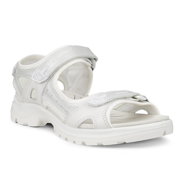 ECCO OFFROAD (069563-60922)