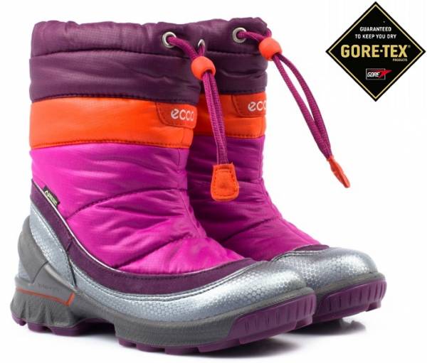 купить ECCO BIOM HIKE INFANT (753501-58581)